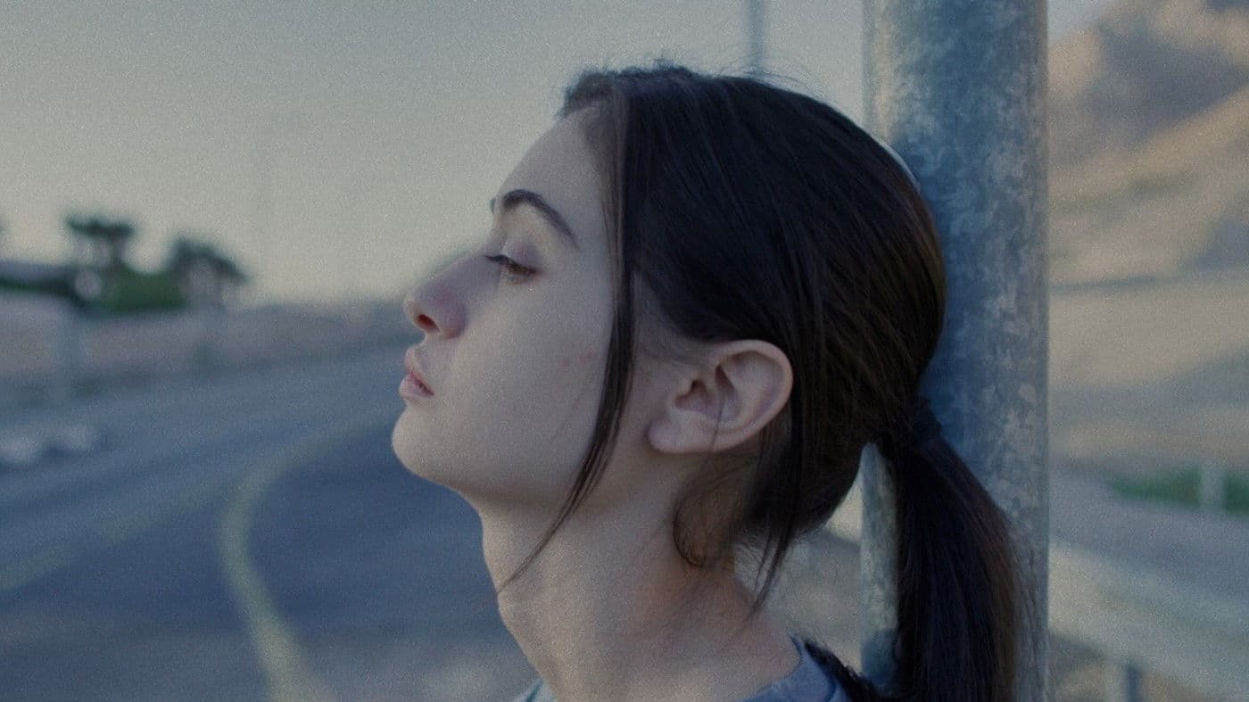 개와 사람에 관하여