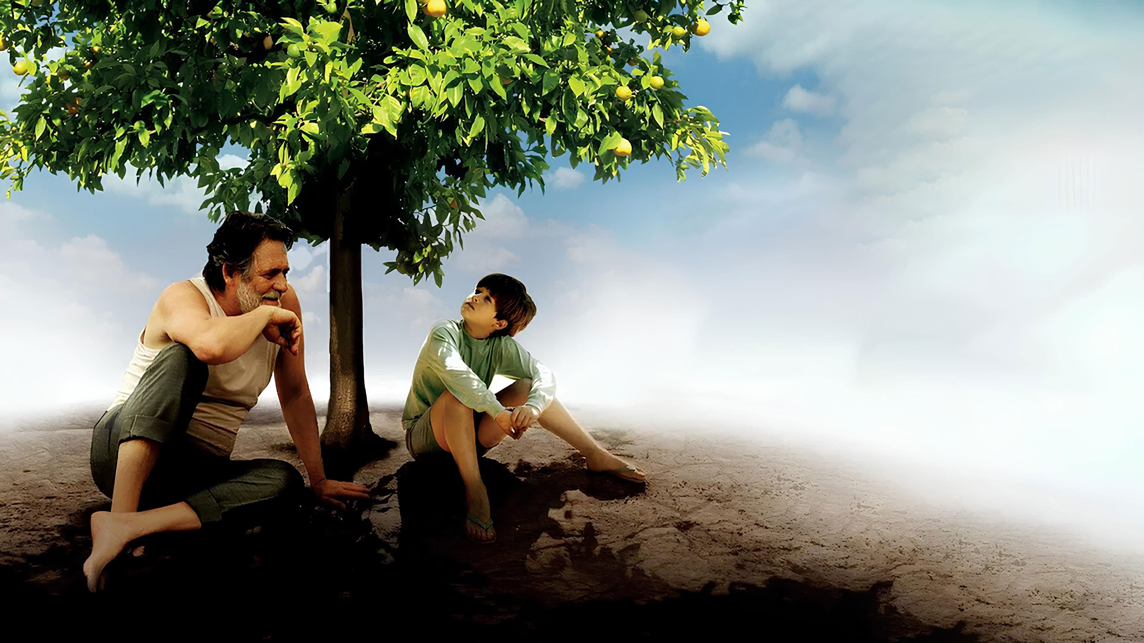 나의 라임 오렌지 나무