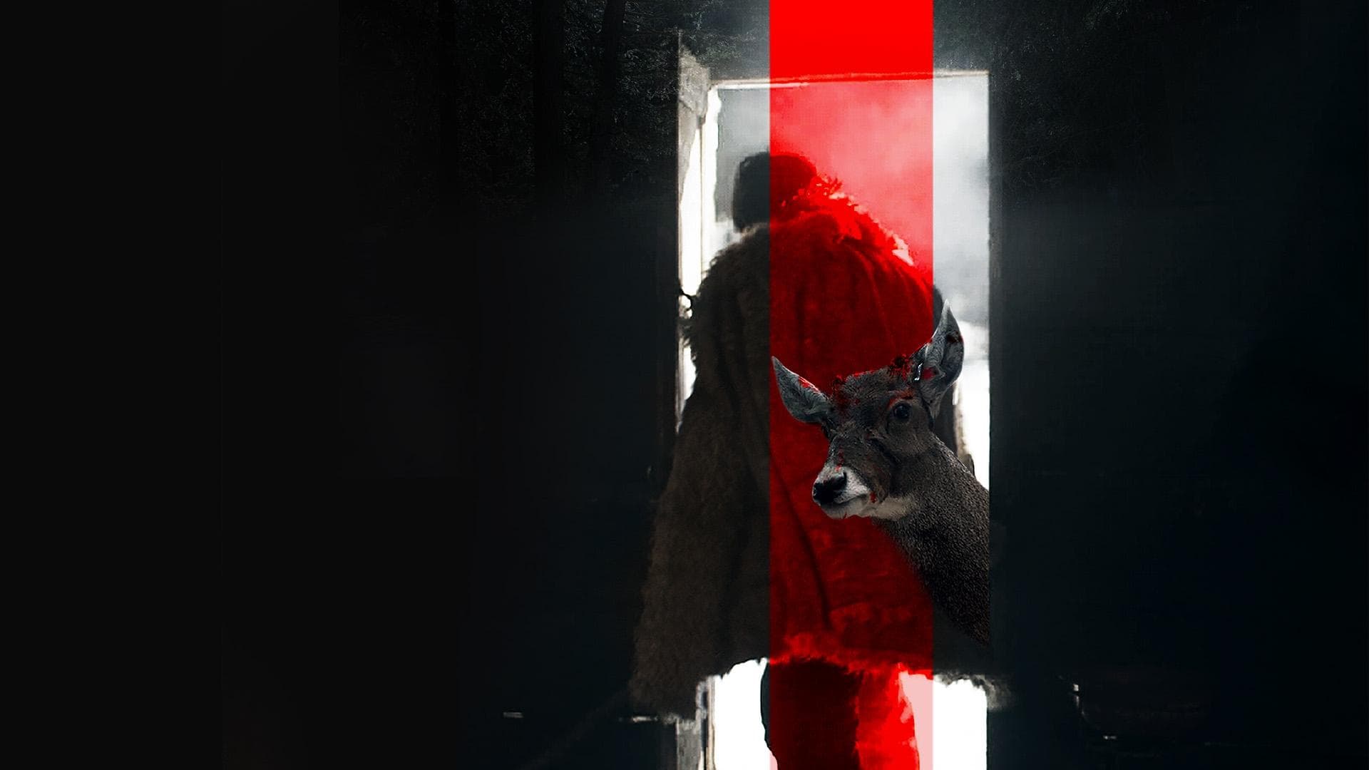 하나 그리고 넷