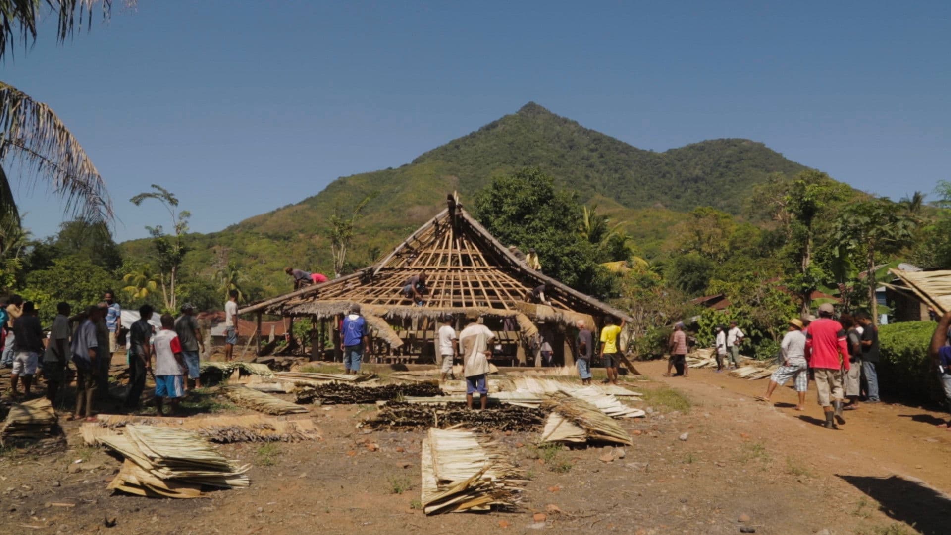 Ketika Tunas itu Tumbuh