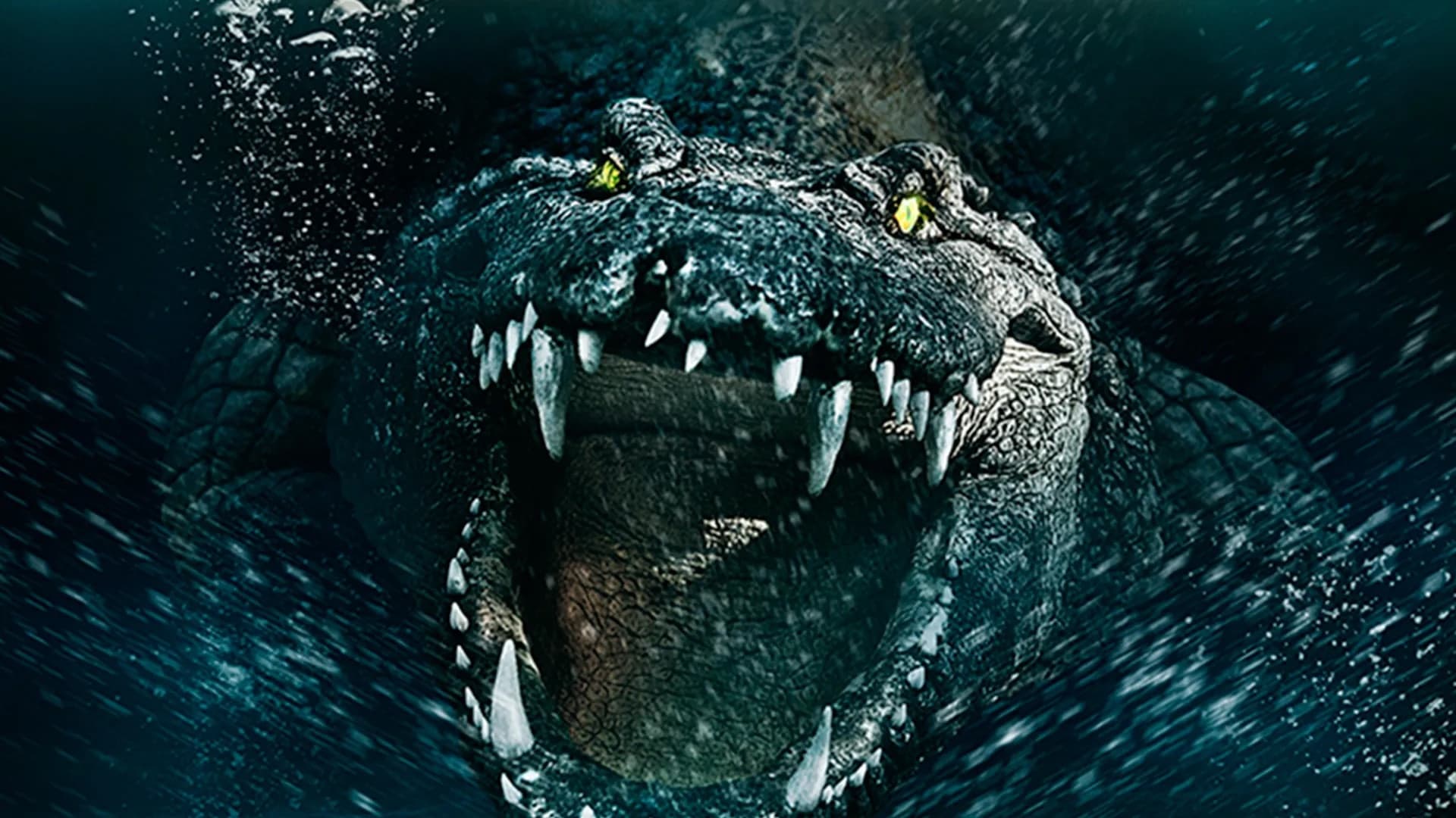 딥워터 엘리게이터