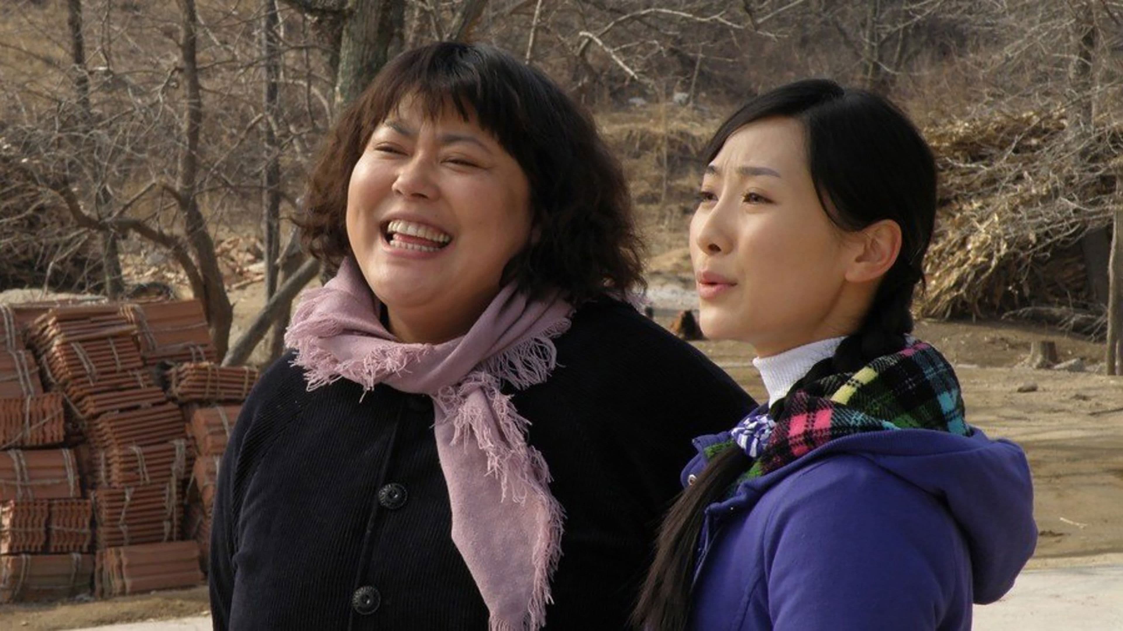 宝乐婶的烦心事