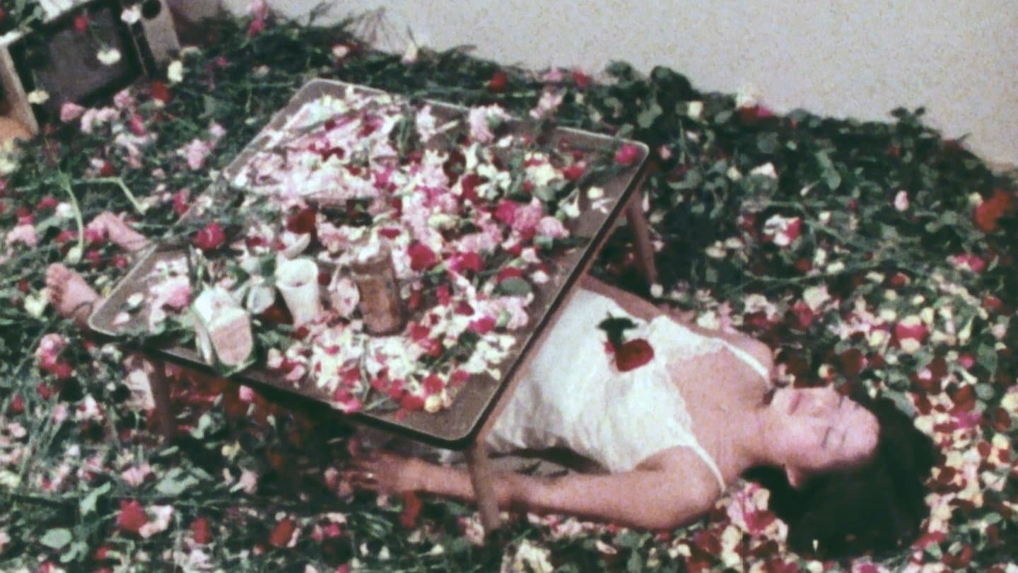 애프터눈 브리지스