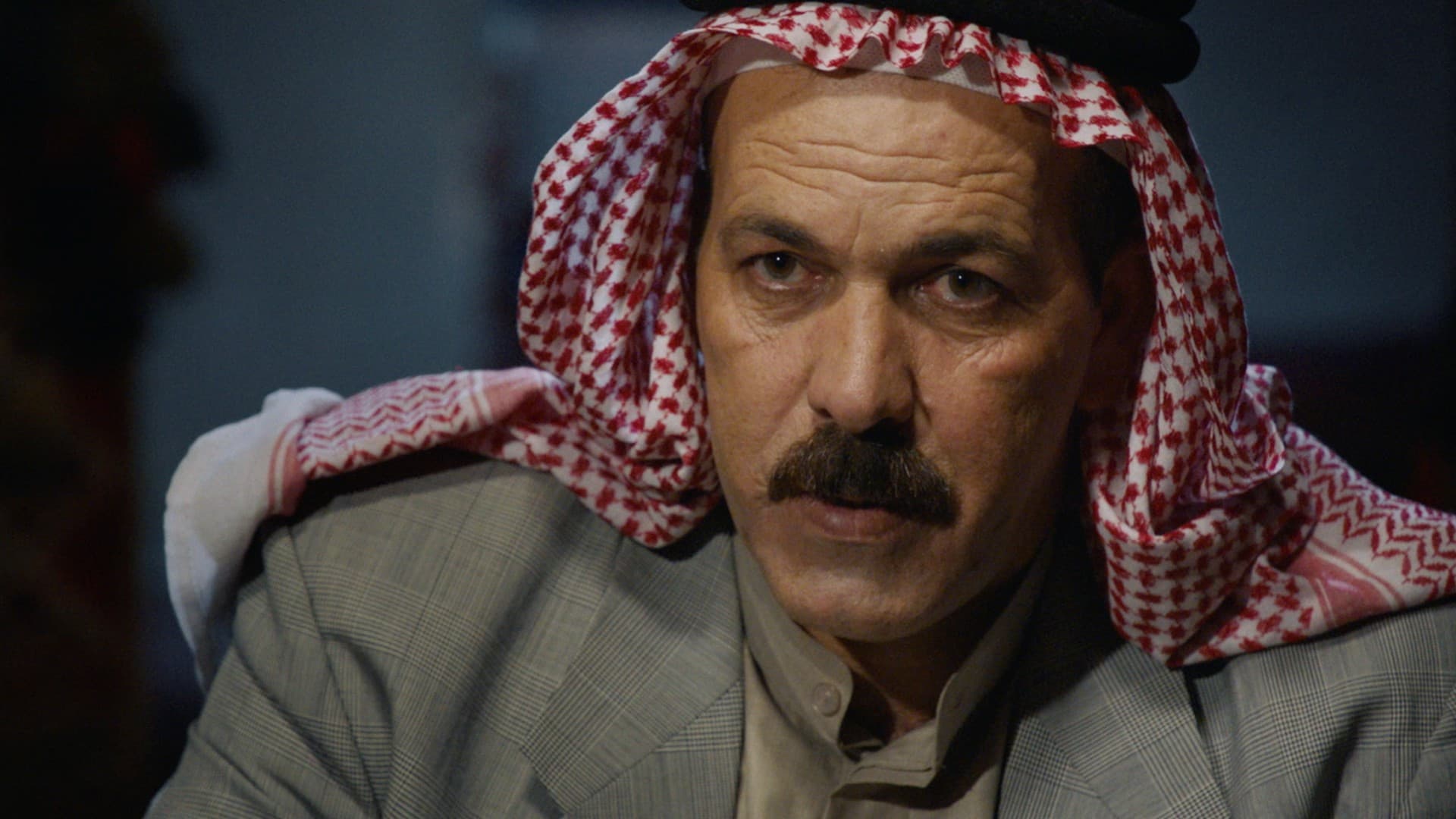 사담 후세인 숨기기