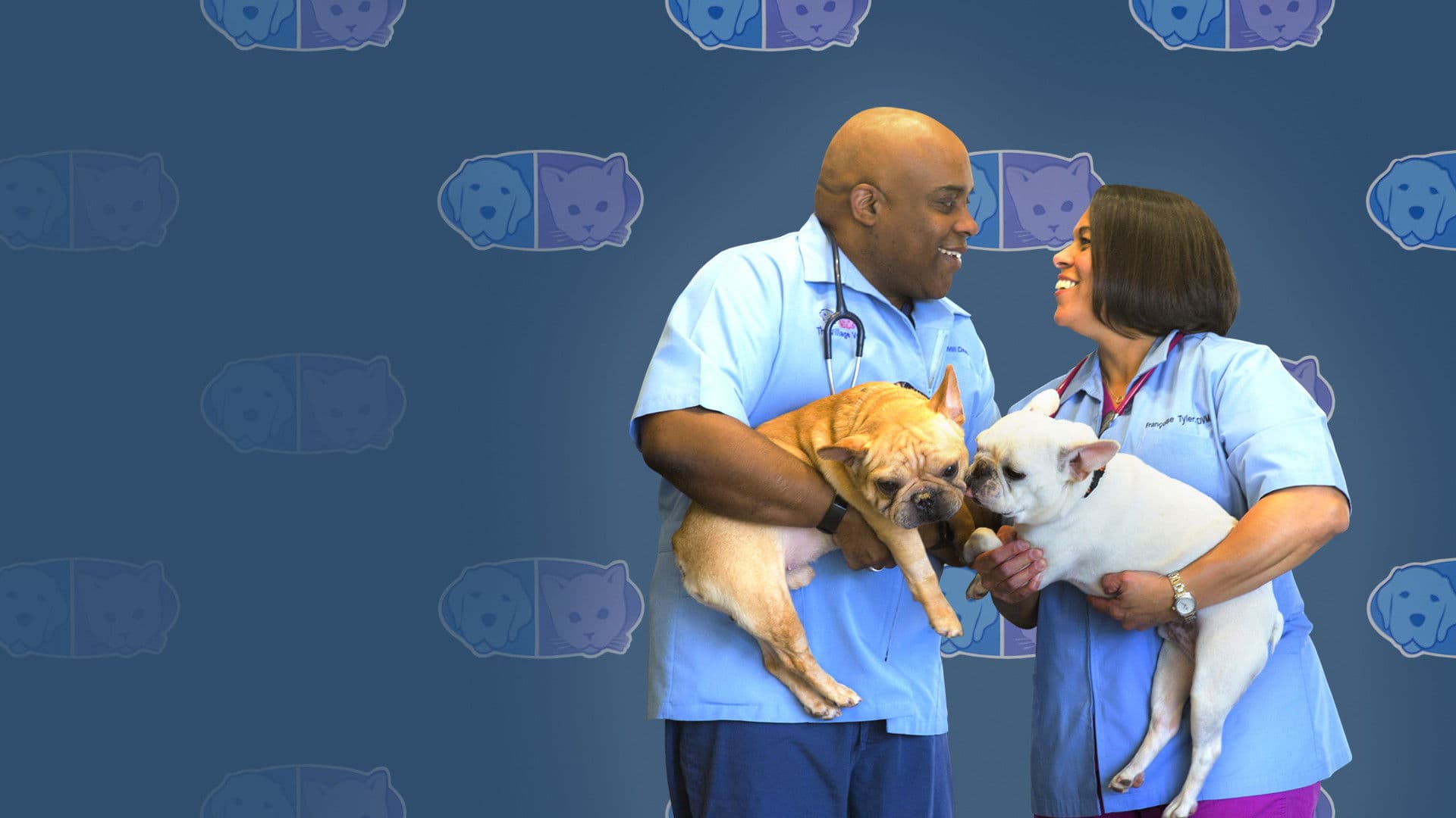 사랑과 수의사들