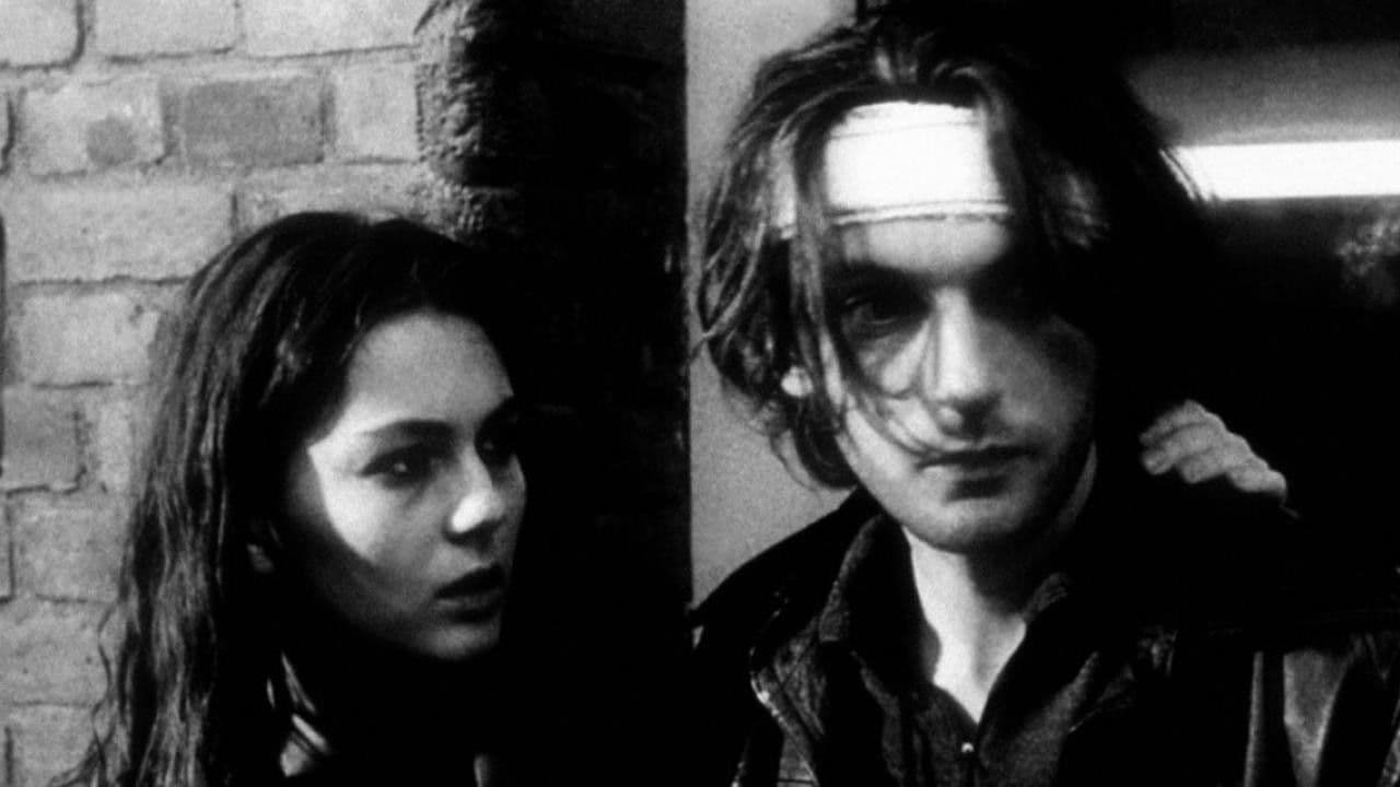 와일드 이노선스