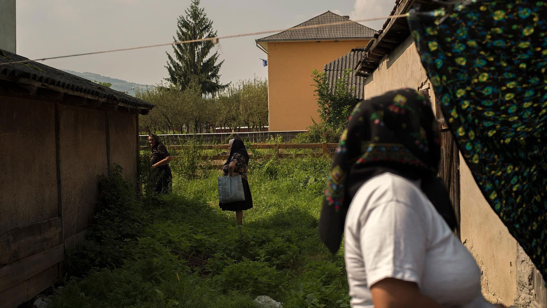 클레츠머 프로젝트