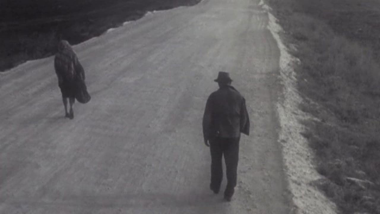 Мужчина и женщина