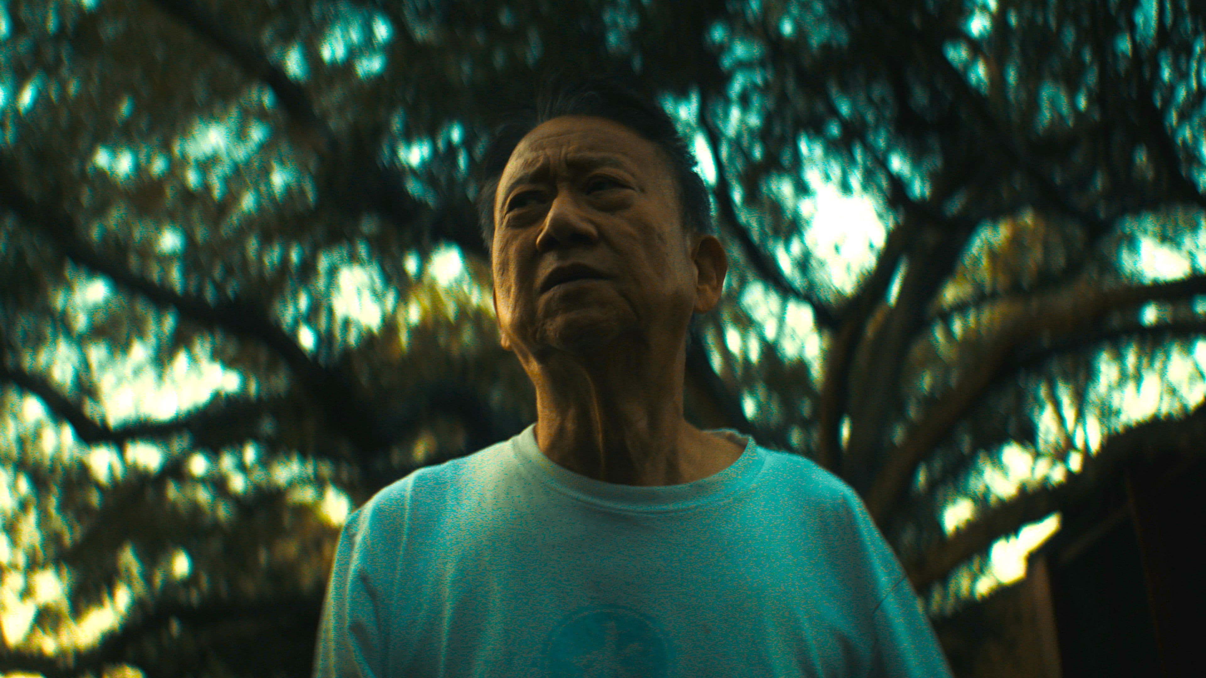 본인 출연, 제리