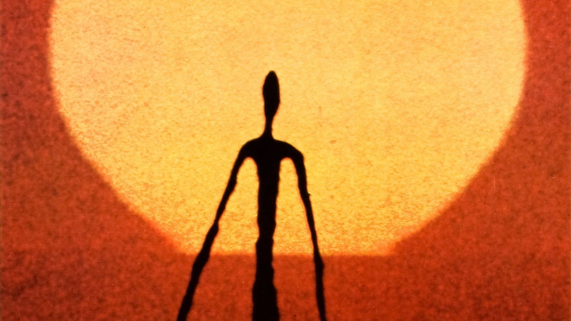 와이 맨 크리에이트