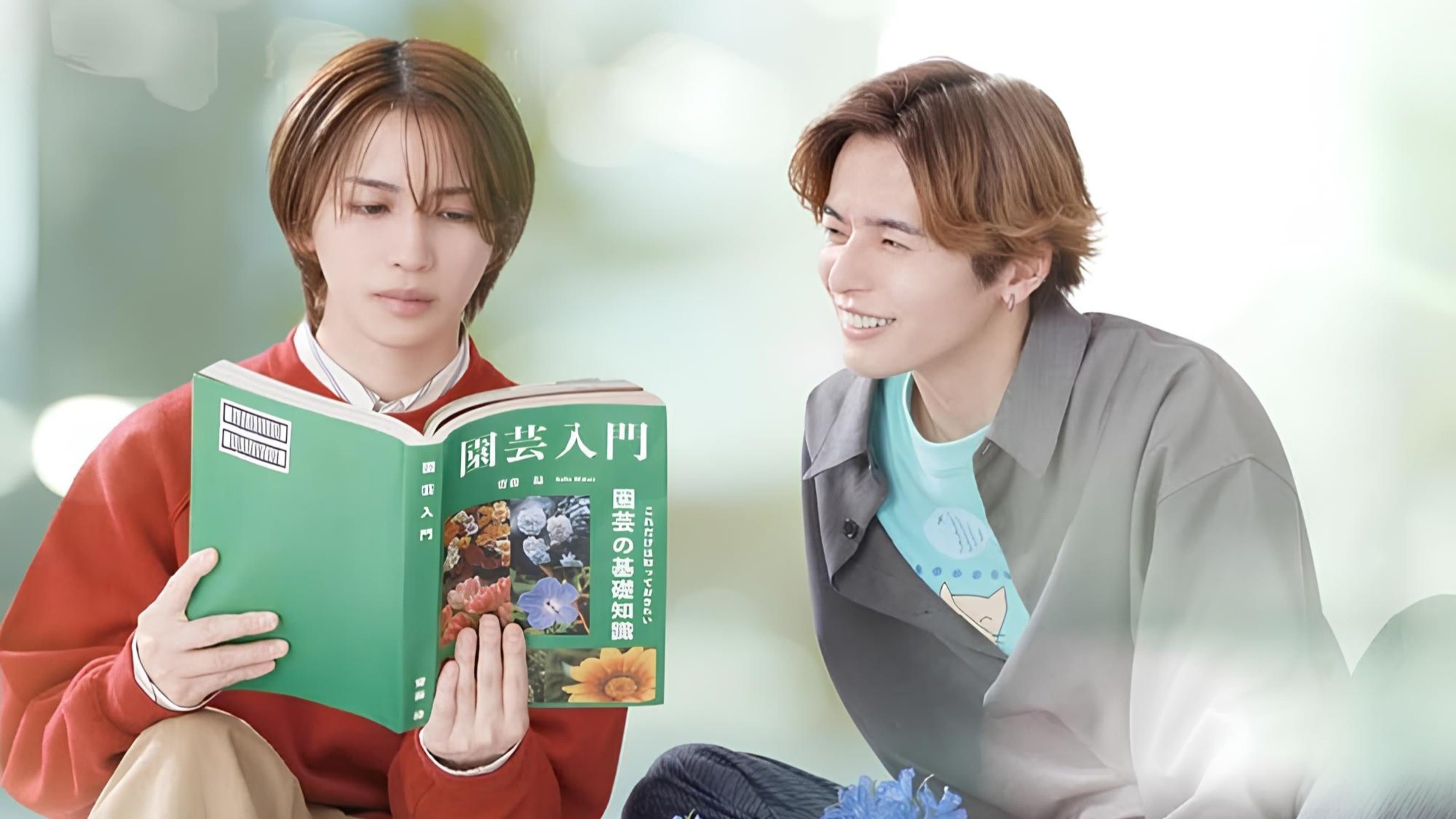 연애를 올바르게 읽는 방법