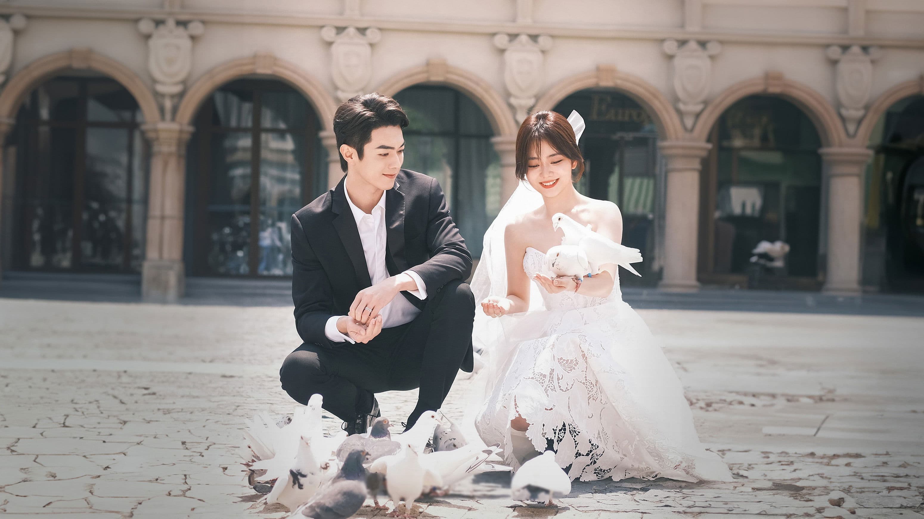 니비성광미려：별처럼 아름다운 너