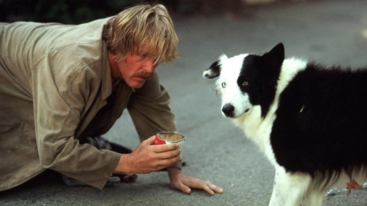 비버리 힐의 낮과 밤