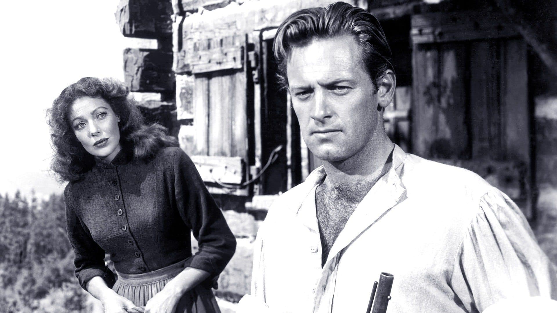 레이첼과 이방인