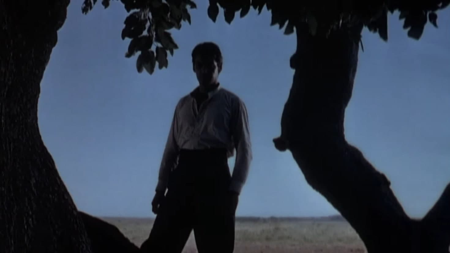 웨이 오브 어 가우초