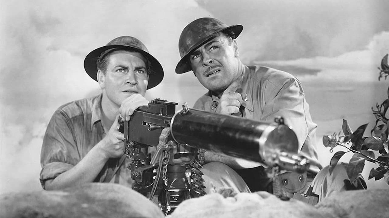 웨이크 아일랜드