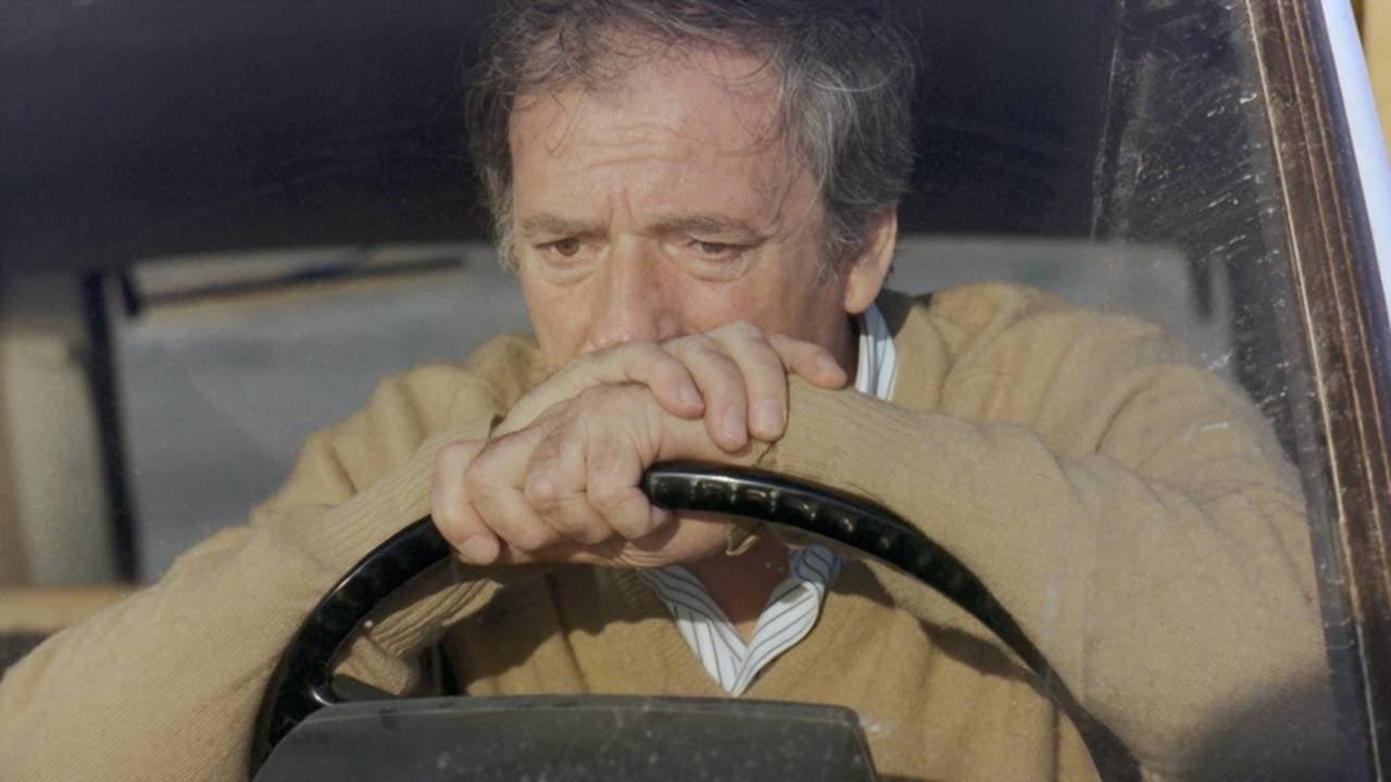 로즈 투 더 사우스