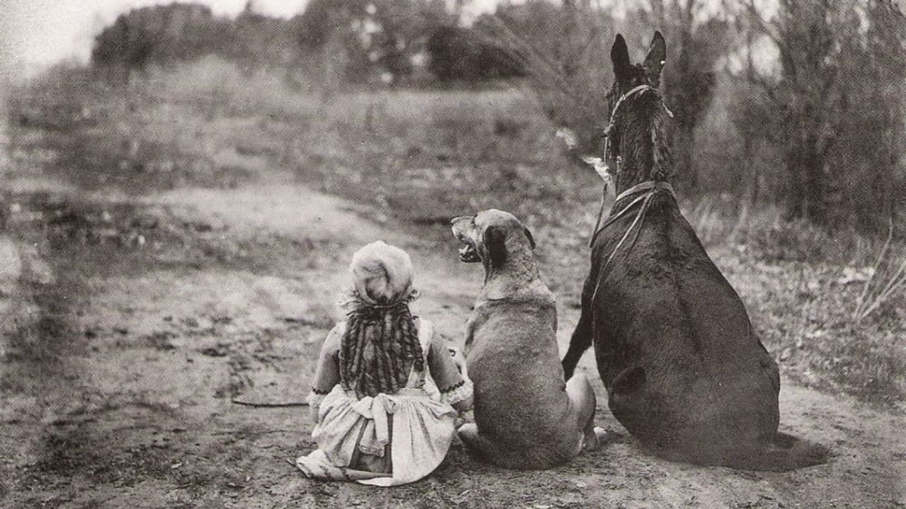 Through the Back Door