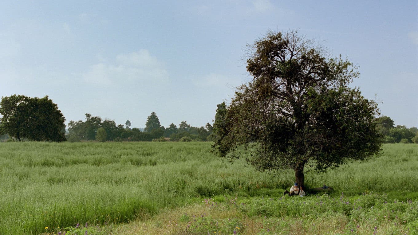 La canción del abuelo