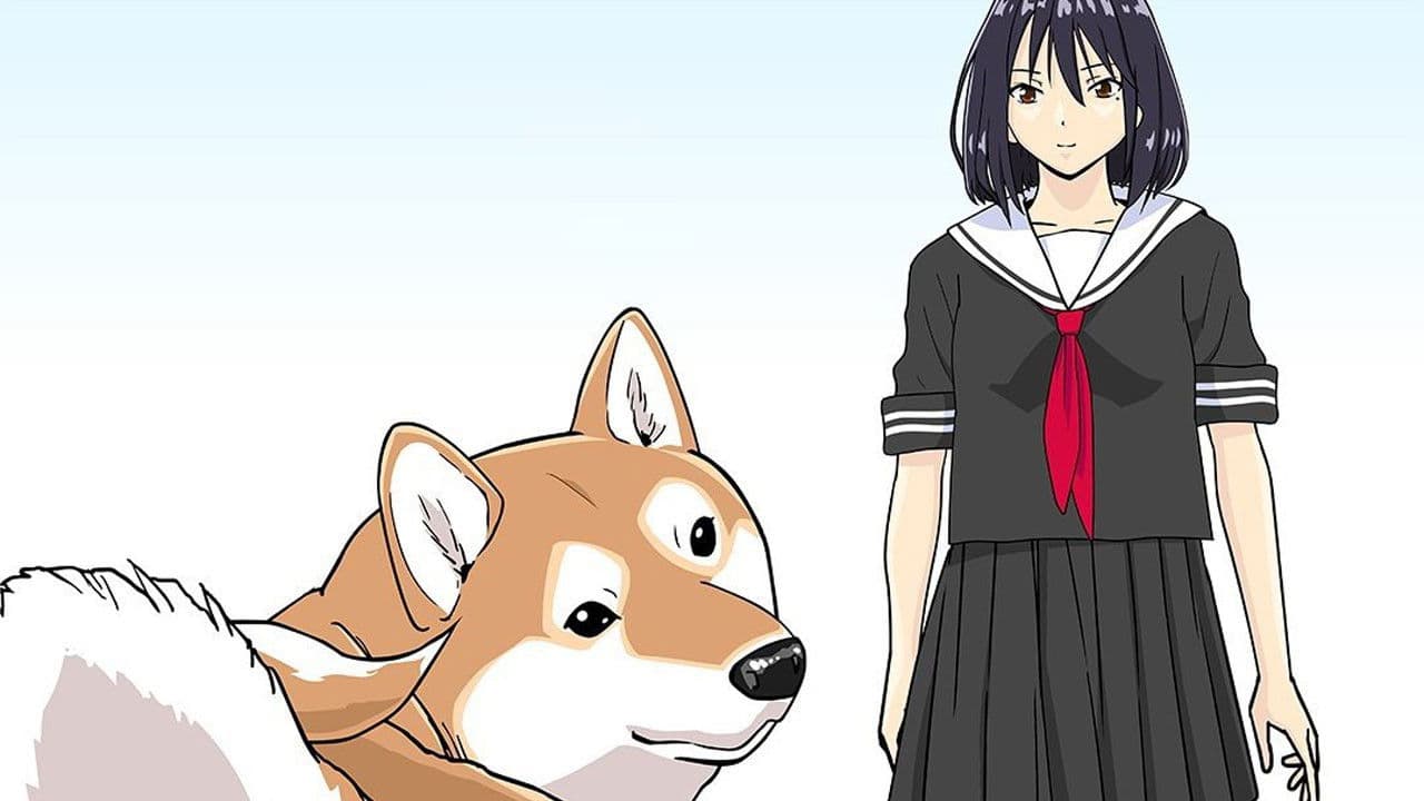 세상의 종말에 시바견과