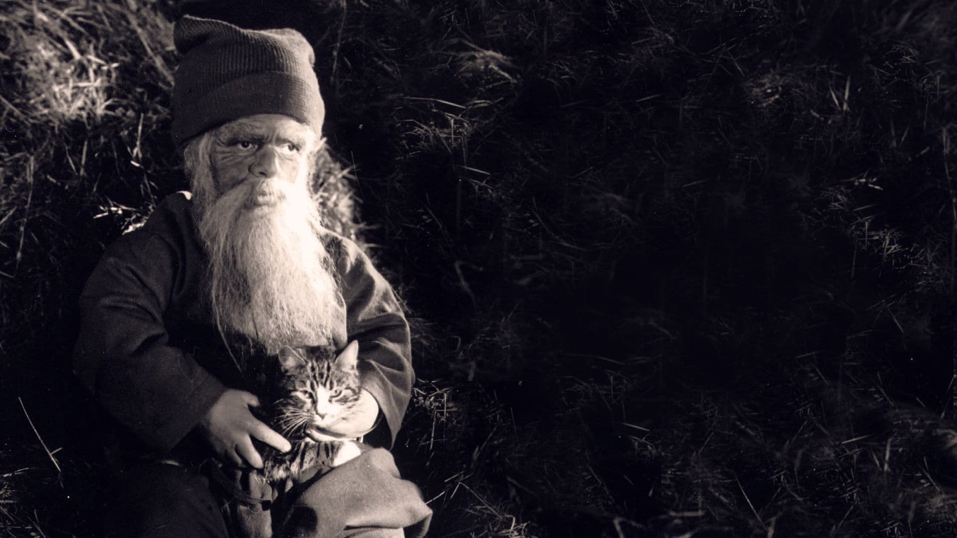 Tomten: En vintersaga