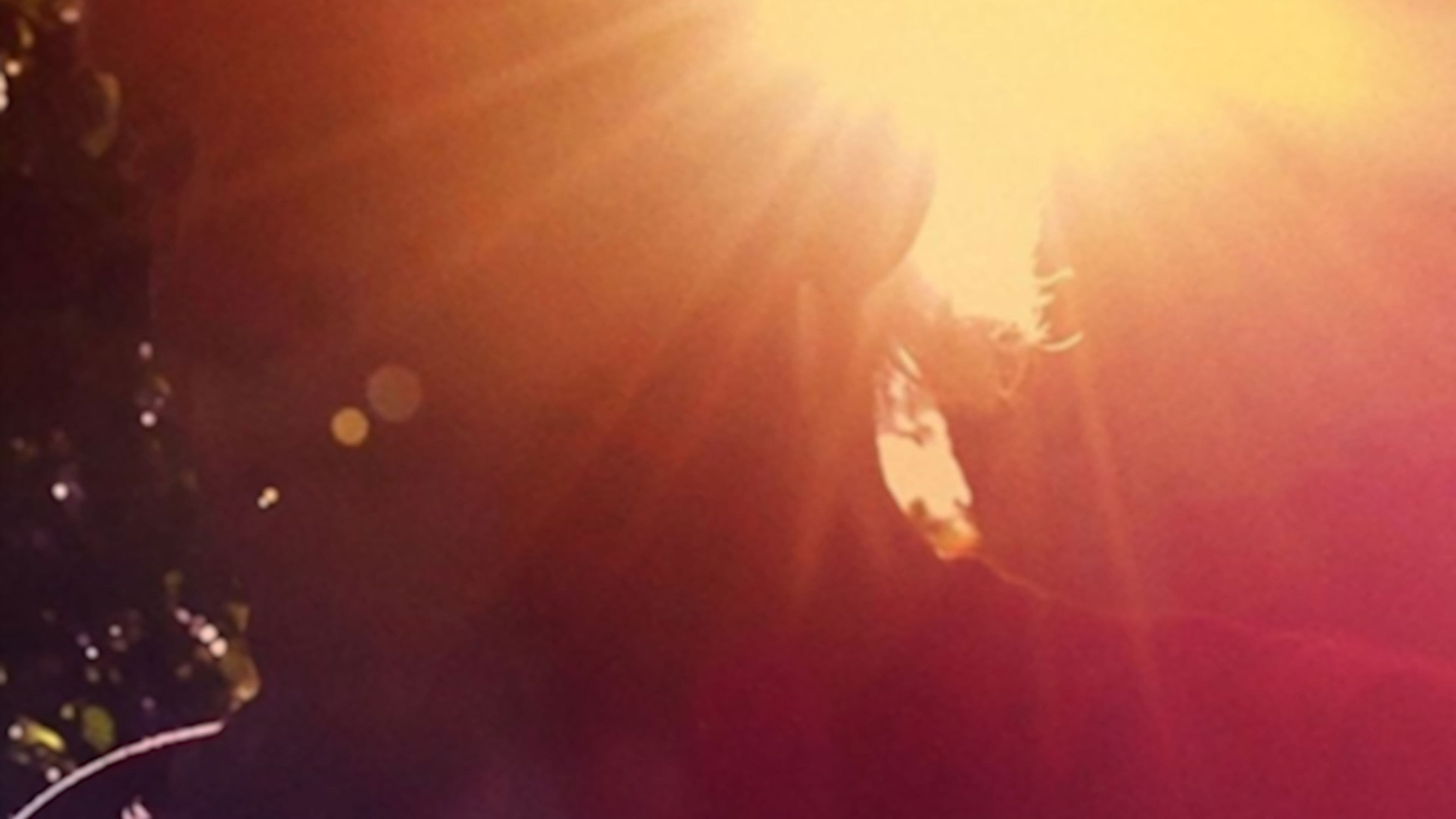 람 다스, 고잉 홈: 마지막 발걸음