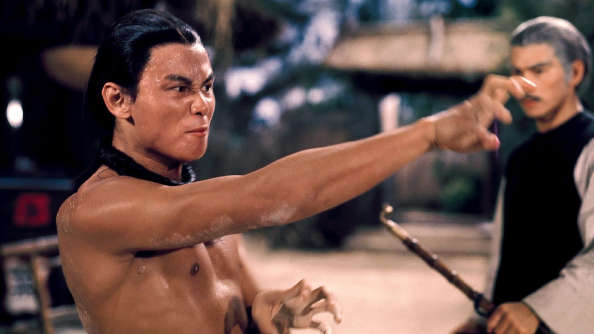 육아채와 황비홍