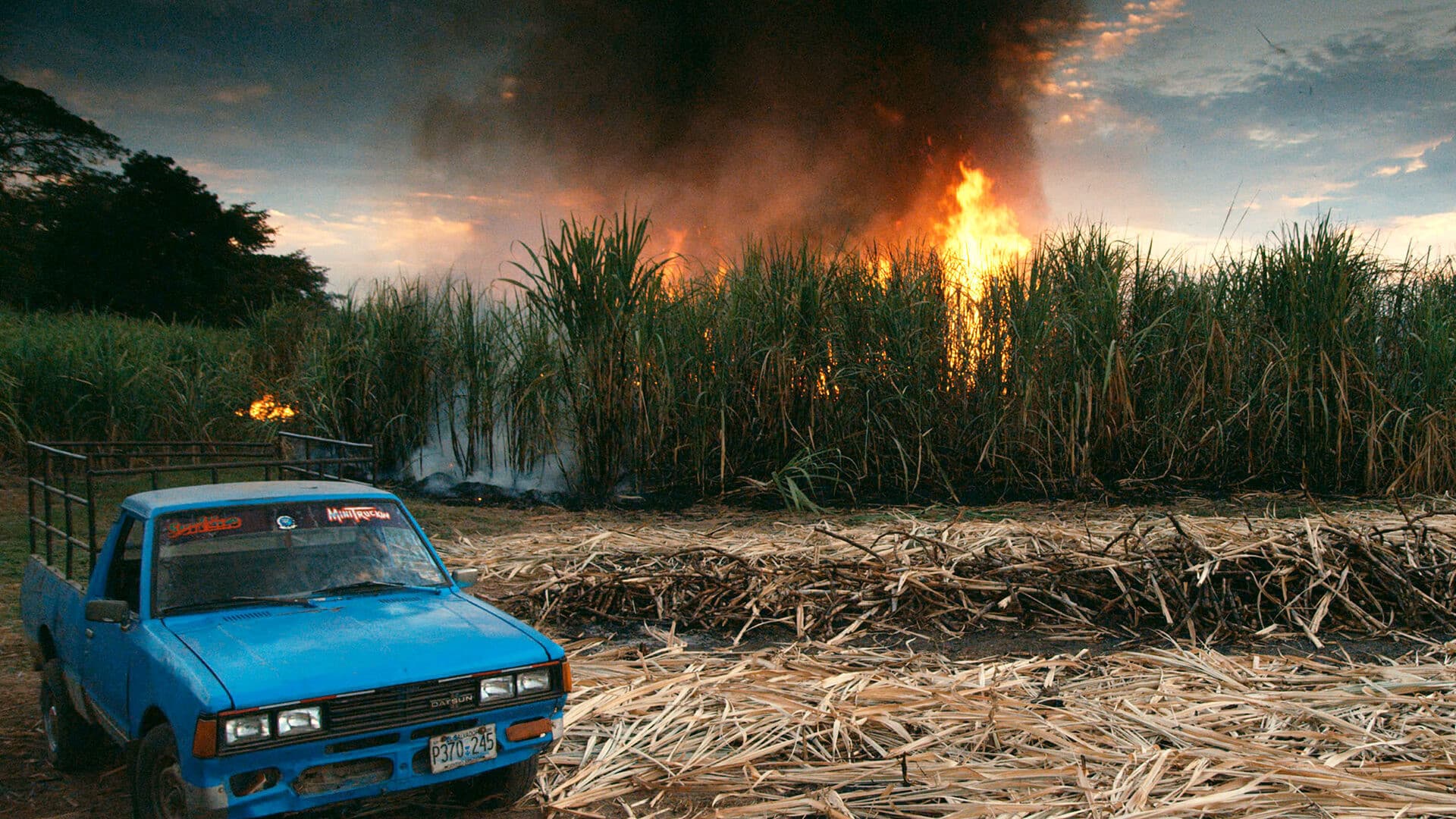 이것이 모든 것을 바꾼다