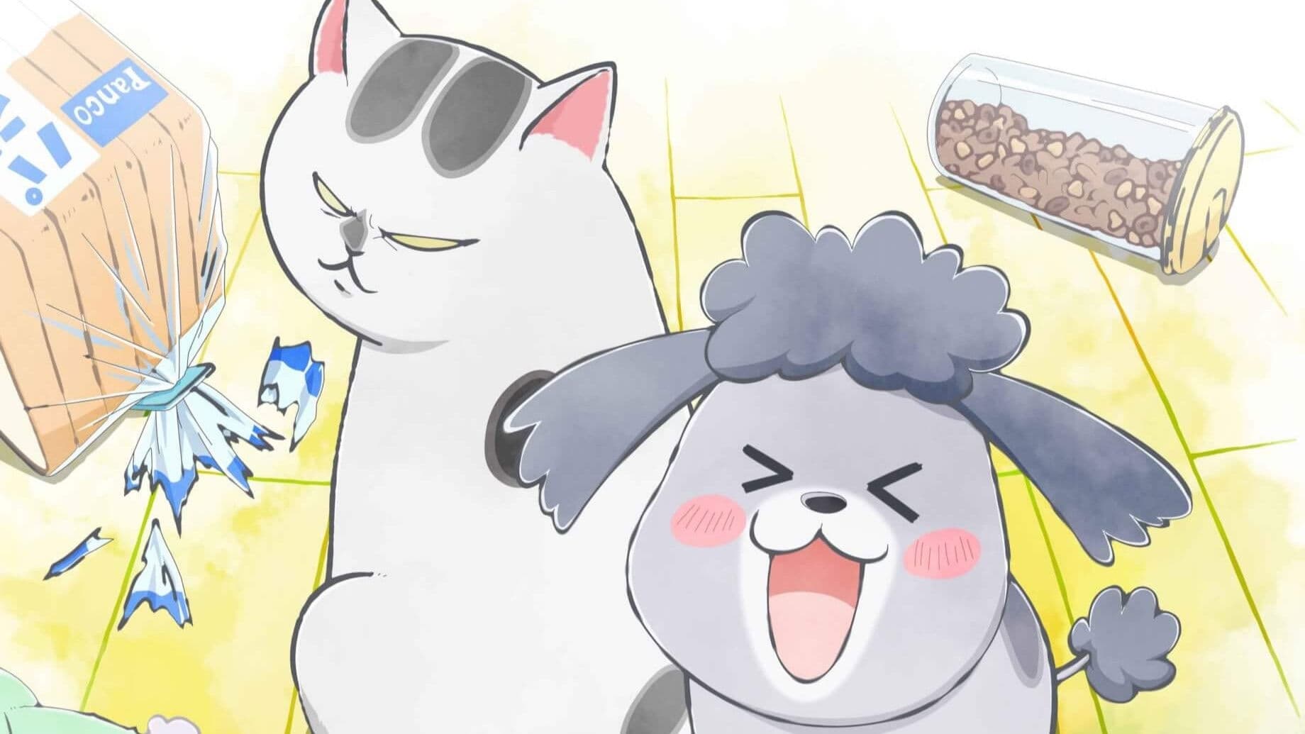 개와 고양이 둘 다 키우면 매일 즐거워