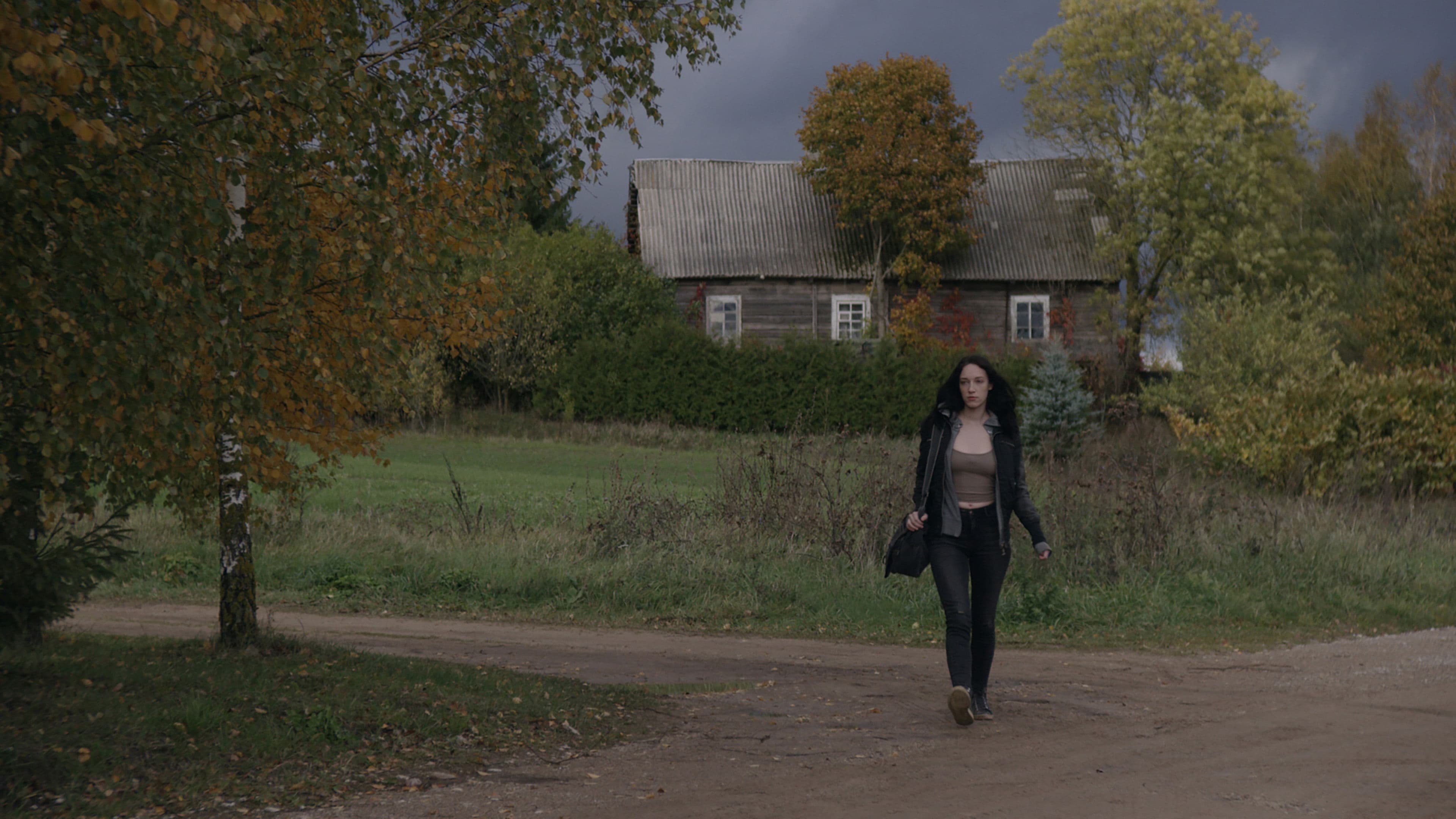 Apsilankymas namuose