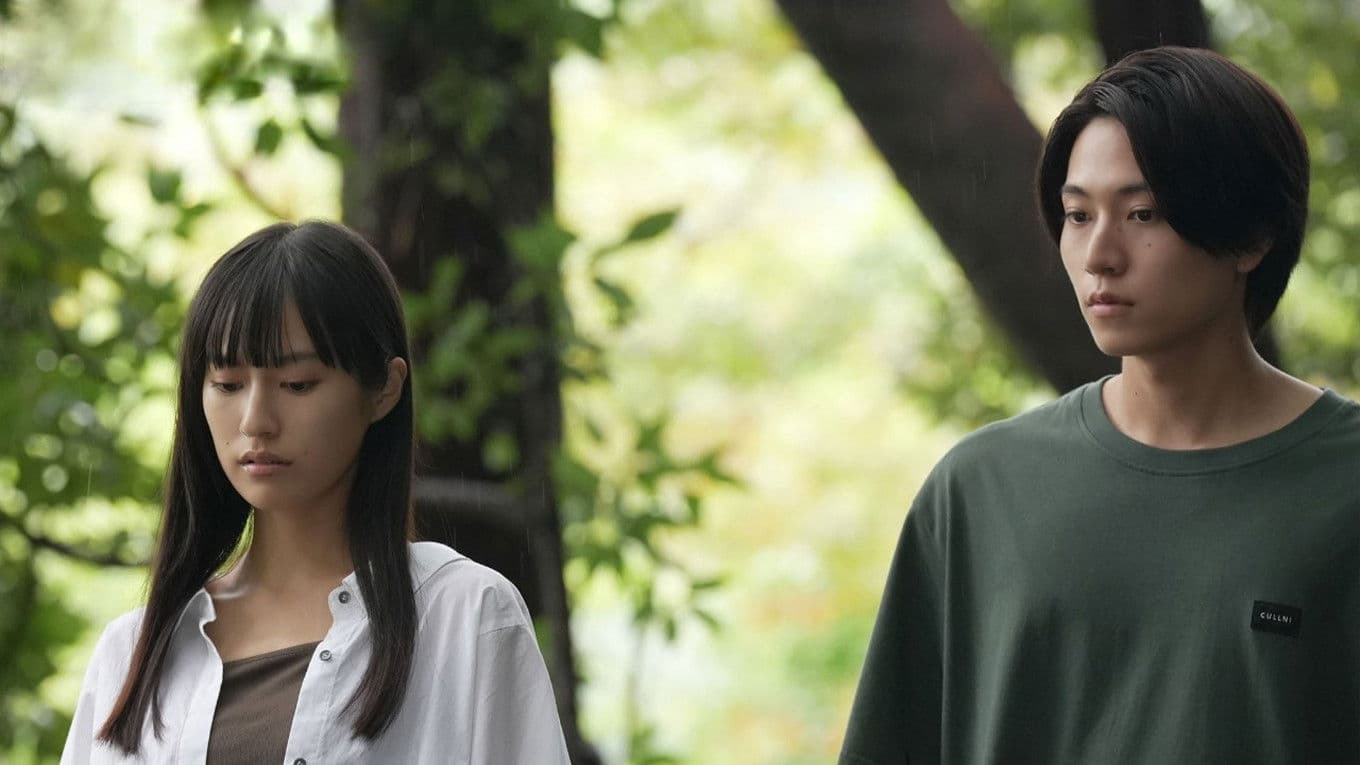 한 여름의 공범자