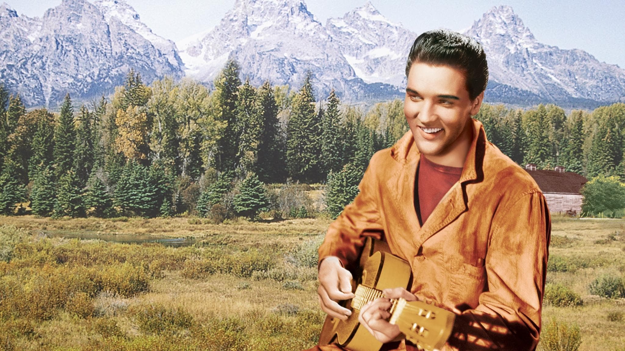 와일드 인 더 컨츄리