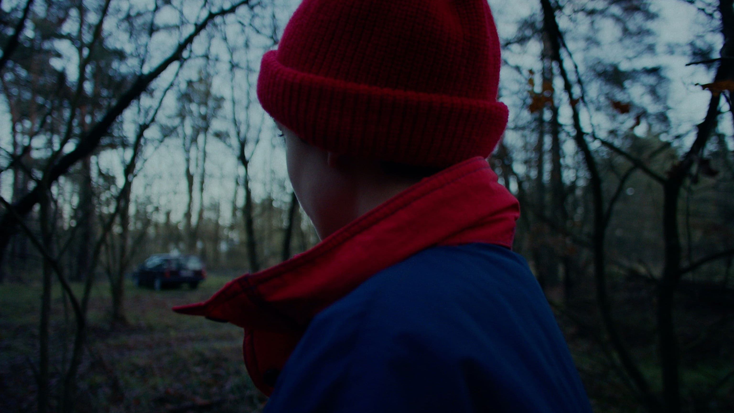 Die Amsel auf dem Ast