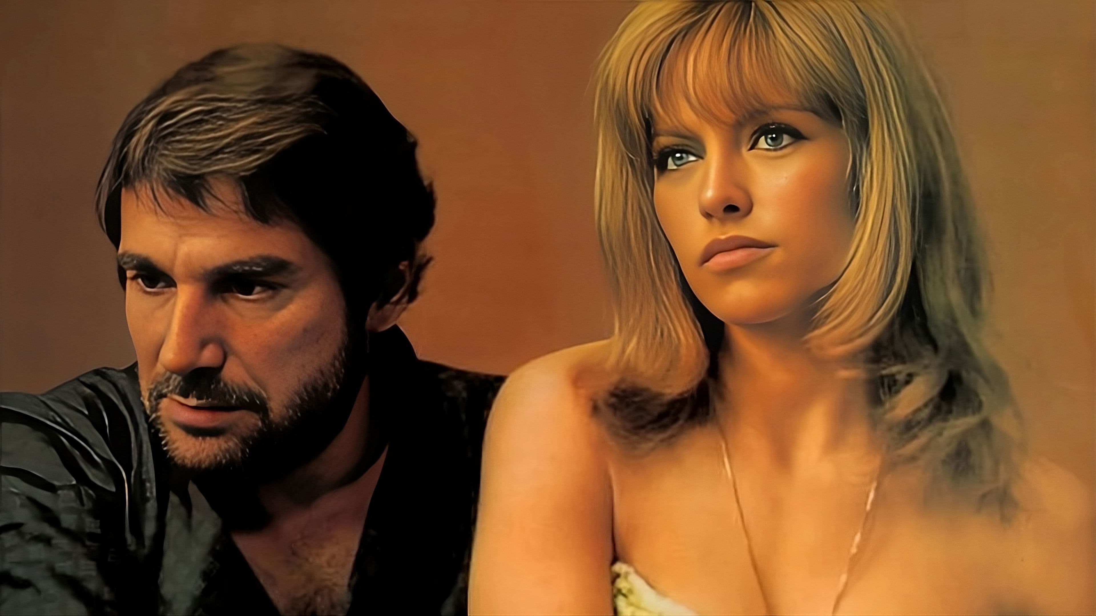 La Leçon particulière