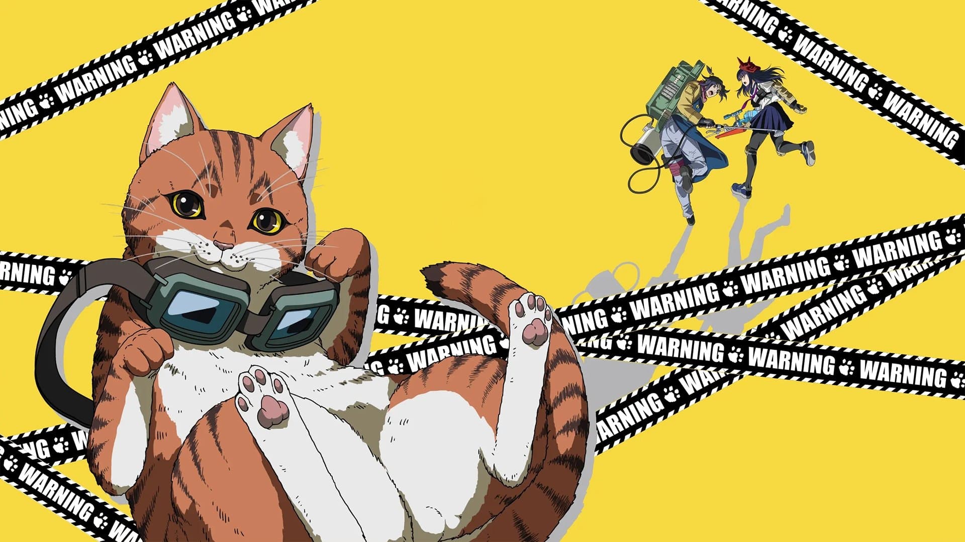 냐이트 오브 더 리빙 캣