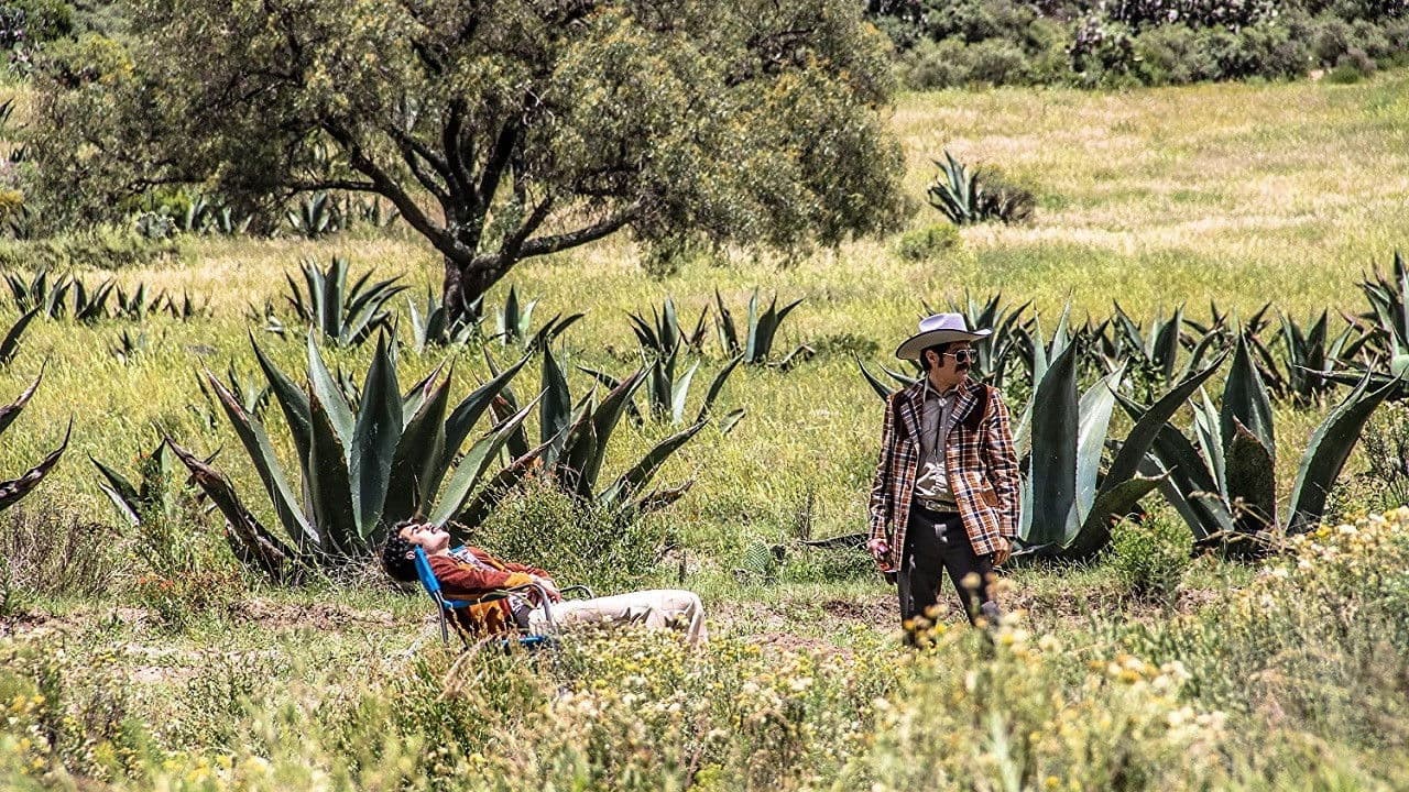 메 구스타, 페로 메 아수스타
