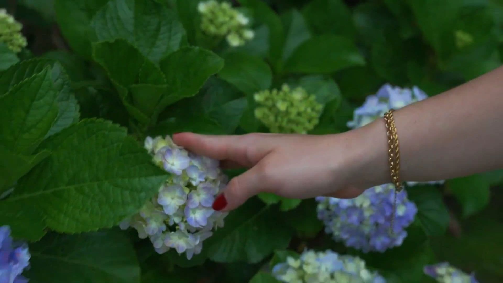 Desencontros de Amor