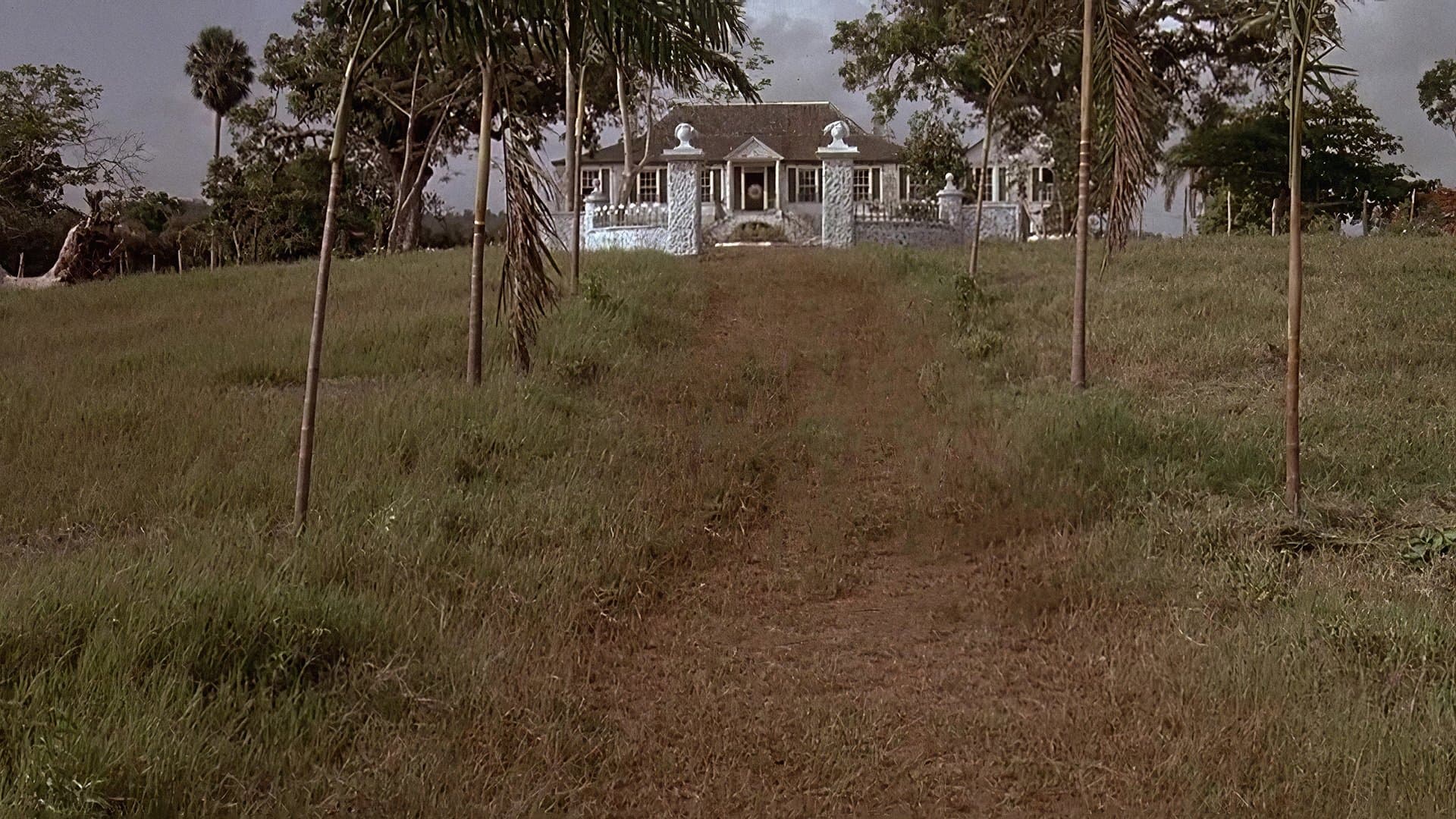 카리브해의 정사