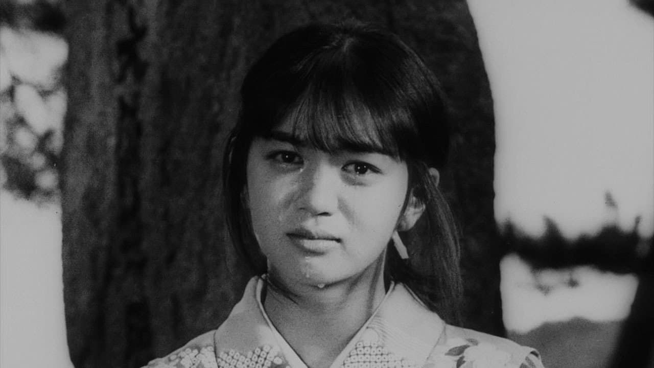 들과 산과 해변을 향해