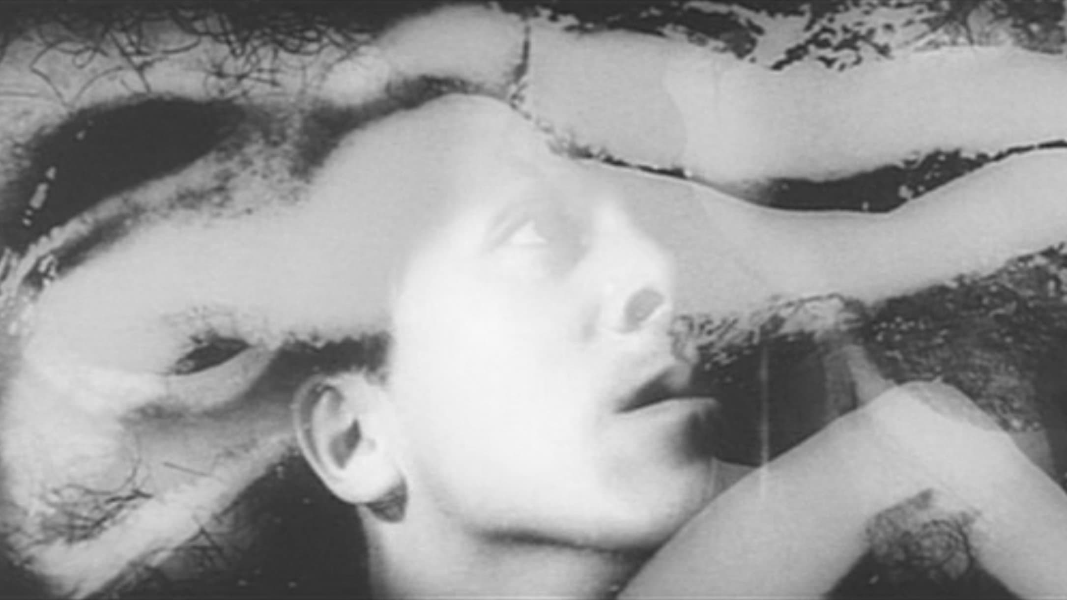 胎児が密猟する時