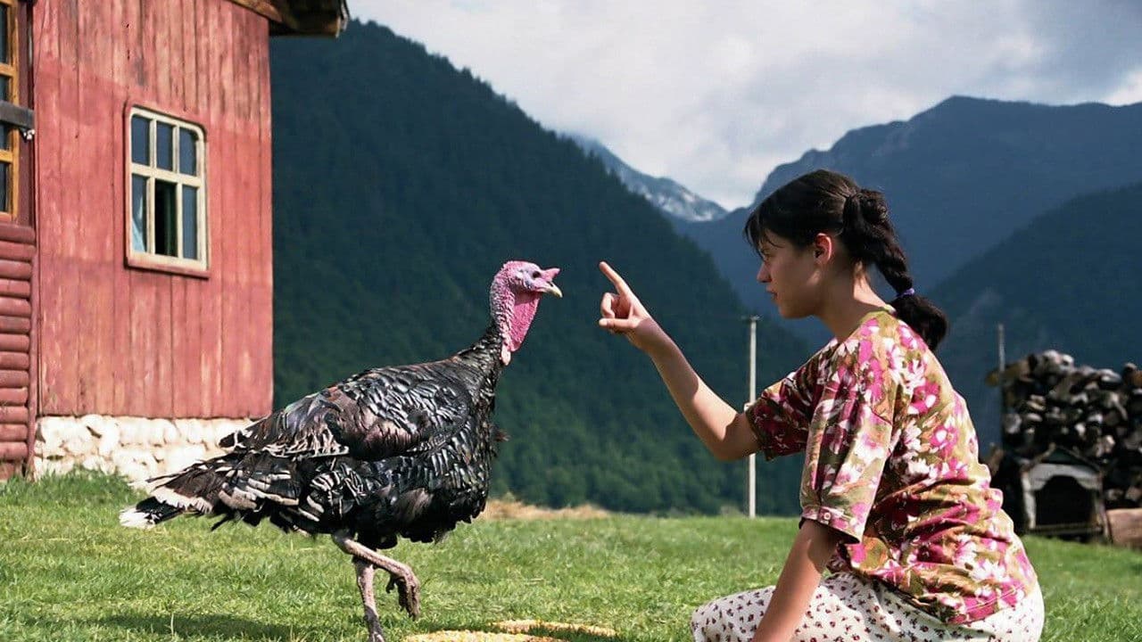 로스트 앤드 파운드