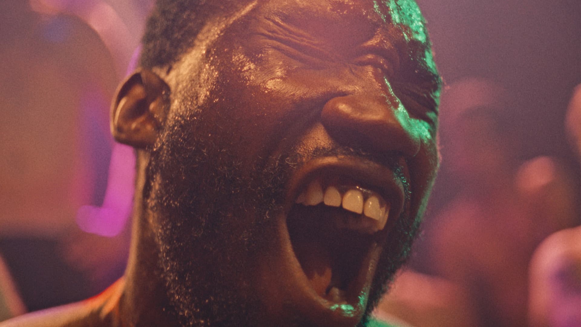 포르노 엑스트라의 종말