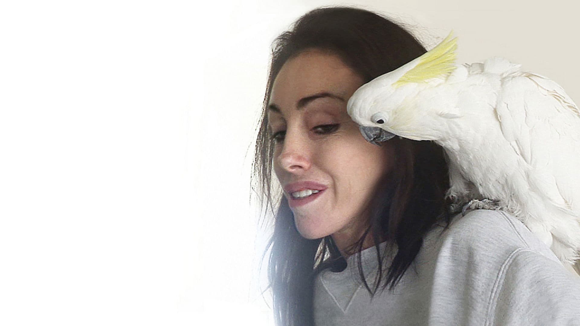 하이디 플라이스 - 더 우드-비 마담 오브 크리스털