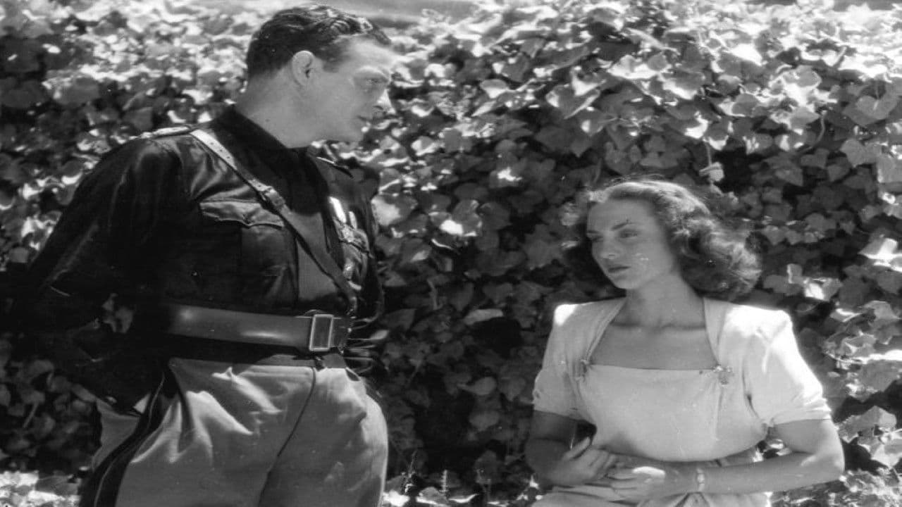 Άννα Ροδίτη