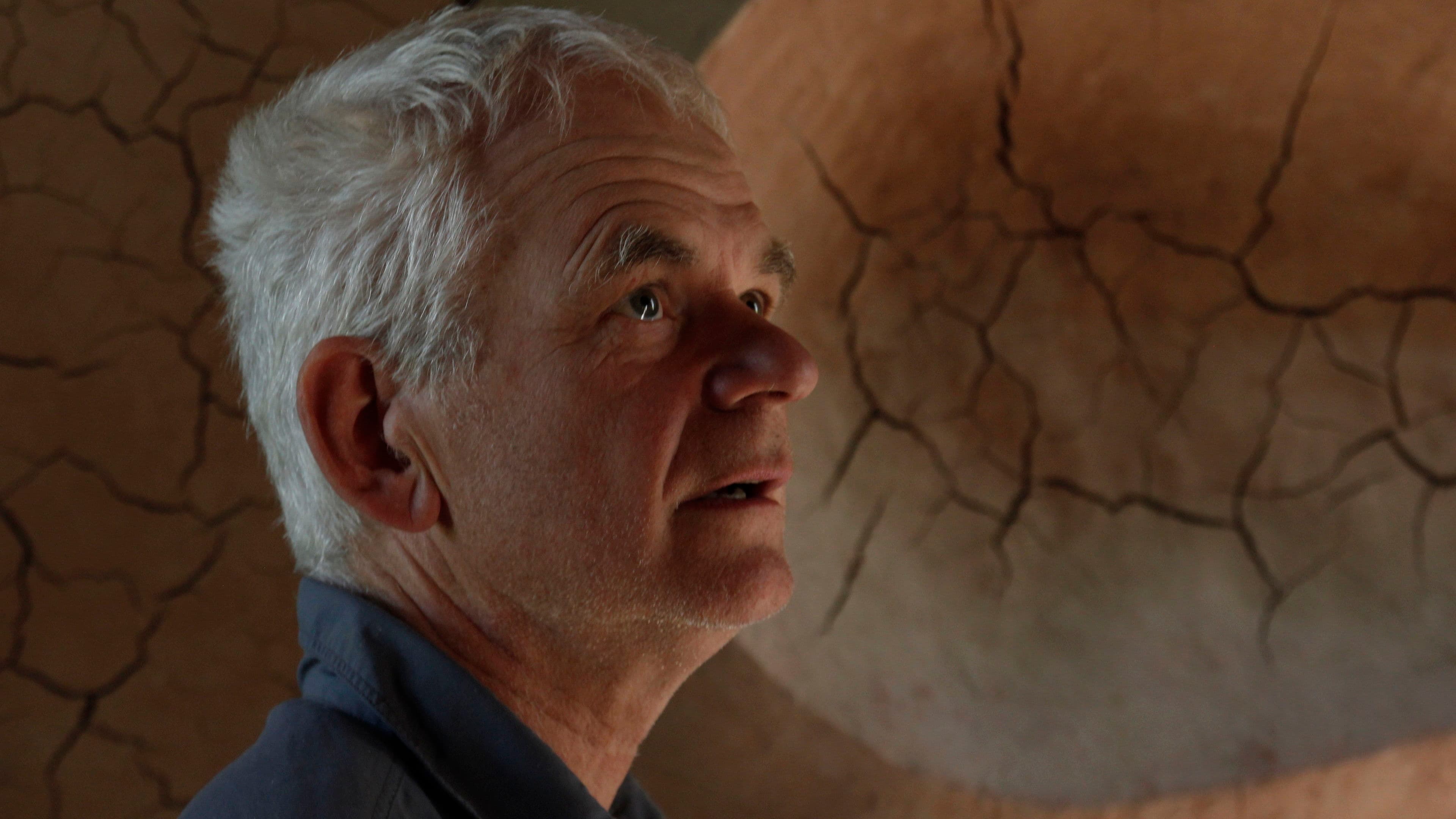 리닝 인투 더 윈드: 앤디 골즈워디