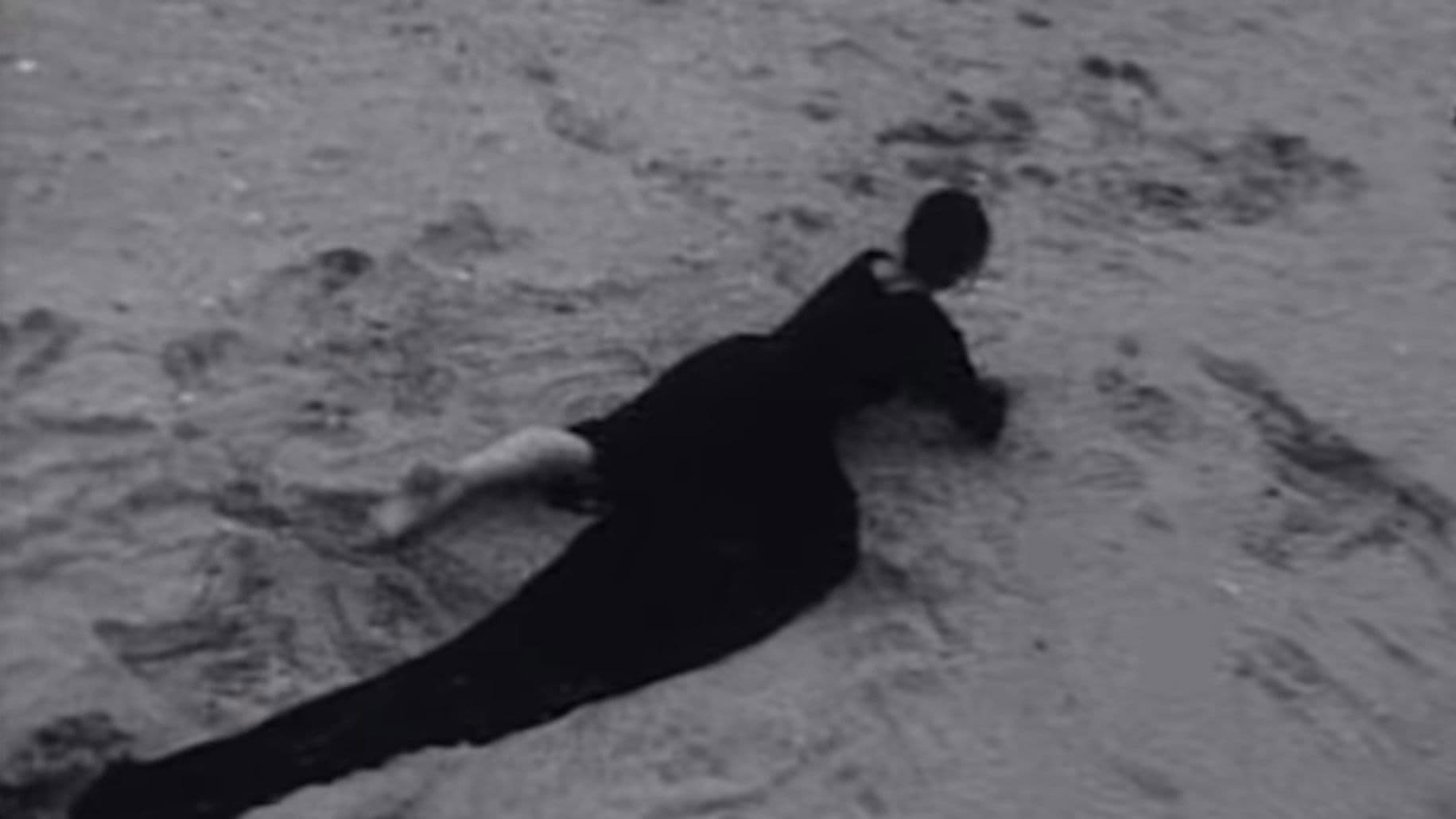 오딘의 수호 처녀