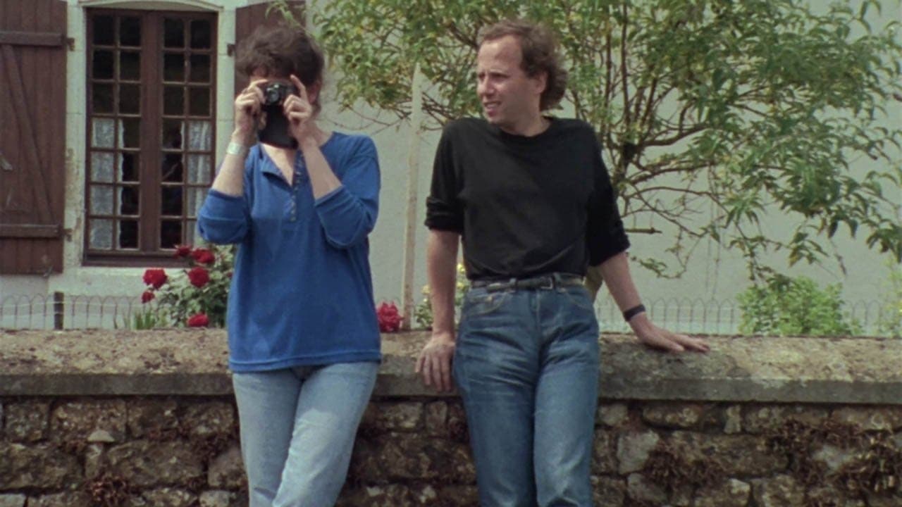 나무, 시장, 메디아테크