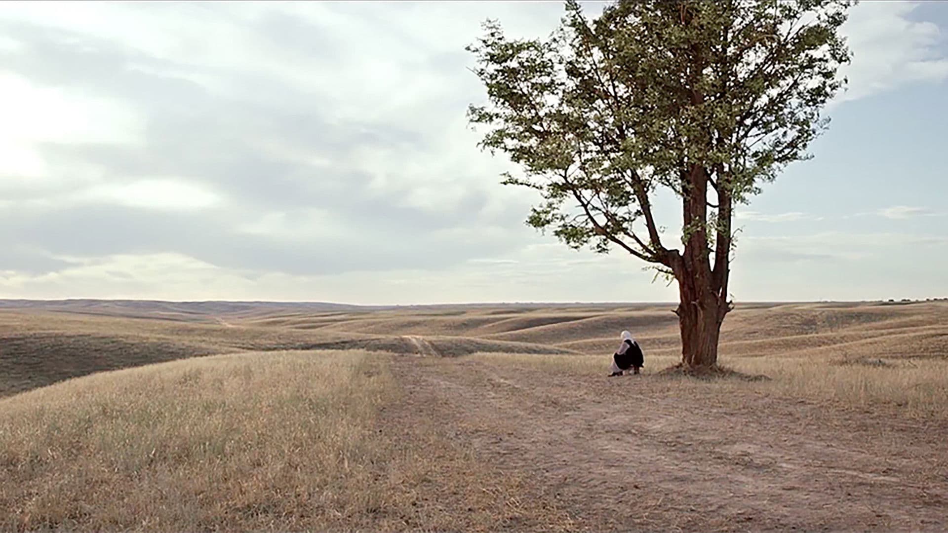 Анаға апарар жол