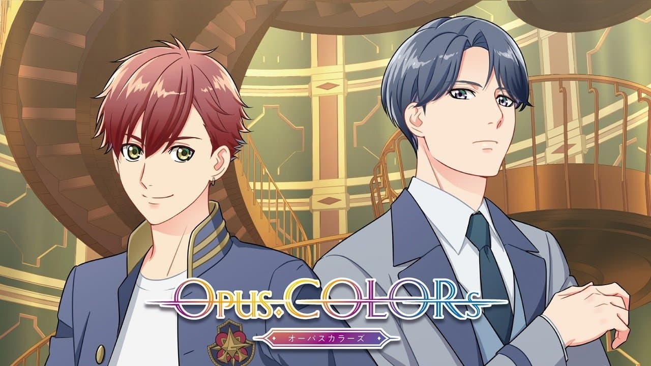 오퍼스 컬러즈