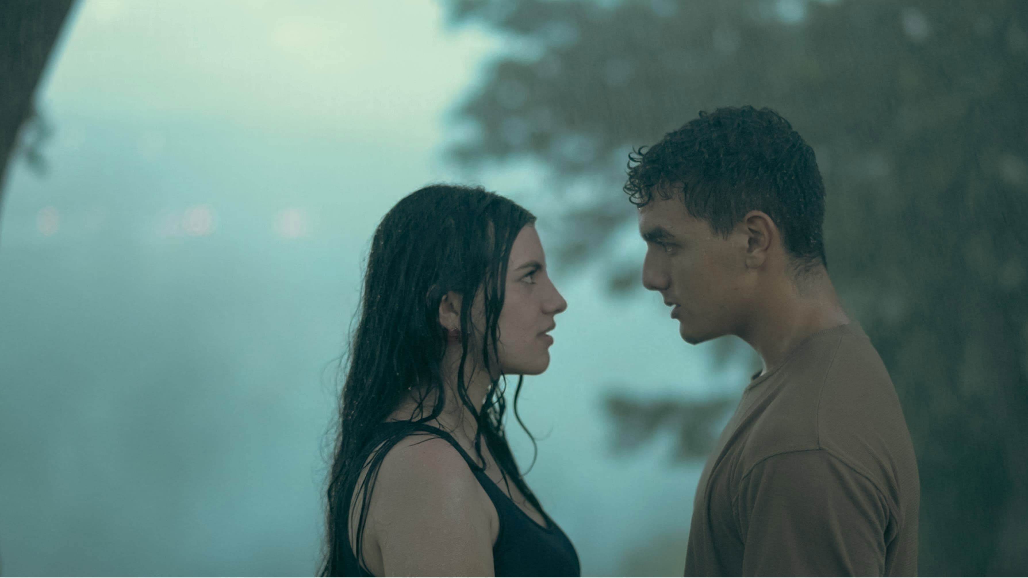 Paradise Falls: A Christmas Story